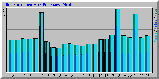 Hourly usage for February 2019