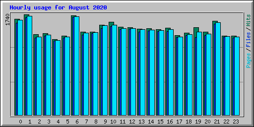 Hourly usage for August 2020