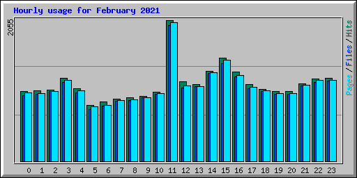 Hourly usage for February 2021