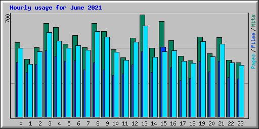 Hourly usage for June 2021