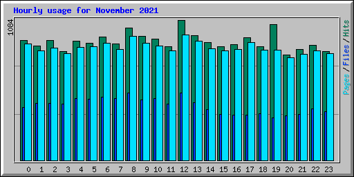 Hourly usage for November 2021