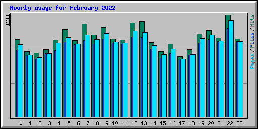 Hourly usage for February 2022