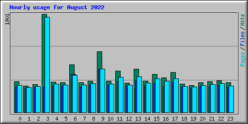 Hourly usage for August 2022