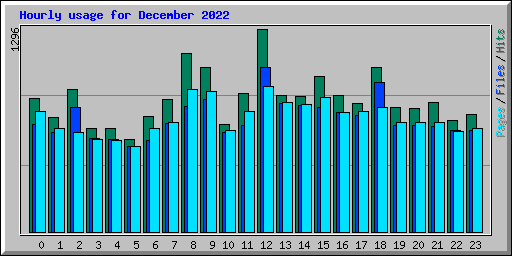 Hourly usage for December 2022