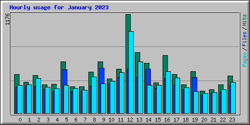 Hourly usage for January 2023