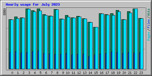 Hourly usage for July 2023