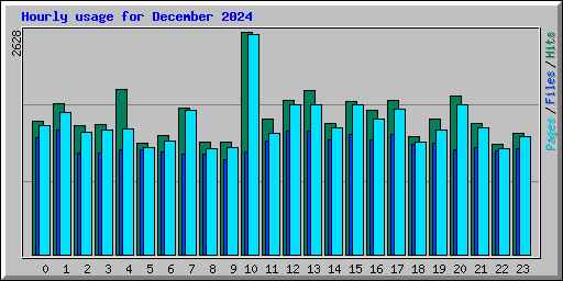 Hourly usage for December 2024