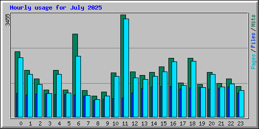 Hourly usage for July 2025